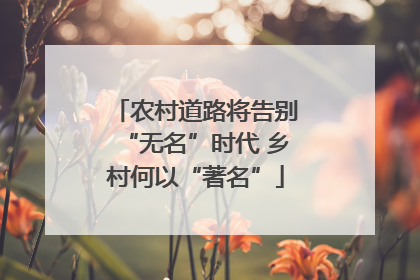 农村道路将告别“无名”时代 乡村何以“著名”