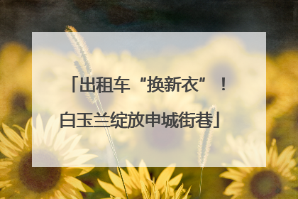 出租车“换新衣”！白玉兰绽放申城街巷