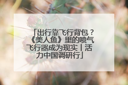 出行靠飞行背包？《美人鱼》里的喷气飞行器成为现实丨活力中国调研行