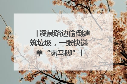 凌晨路边偷倒建筑垃圾，一张快递单“露马脚”