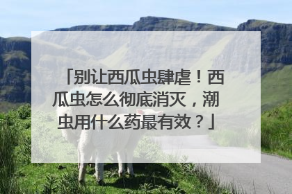 别让西瓜虫肆虐！西瓜虫怎么彻底消灭，潮虫用什么药最有效？