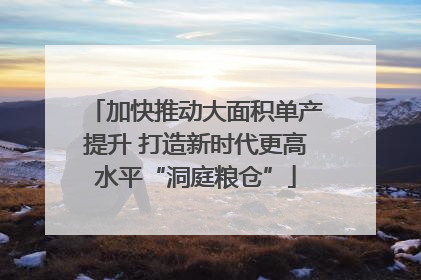 加快推动大面积单产提升 打造新时代更高水平“洞庭粮仓”