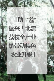 助“荔”振兴！北流荔枝全产业链带动特色农业升级