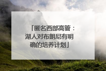 匿名西部高管：湖人对布朗尼有明确的培养计划