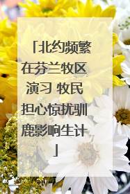 北约频繁在芬兰牧区演习 牧民担心惊扰驯鹿影响生计