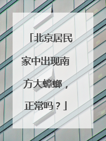 北京居民家中出现南方大蟑螂，正常吗？