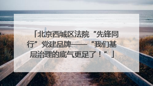北京西城区法院“先锋同行”党建品牌——“我们基层治理的底气更足了！”