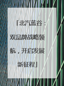 北汽蓝谷：双品牌战略领航，开启发展新征程
