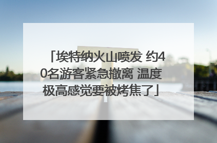 埃特纳火山喷发 约40名游客紧急撤离 温度极高感觉要被烤焦了