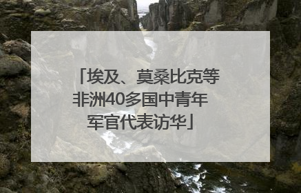 埃及、莫桑比克等非洲40多国中青年军官代表访华