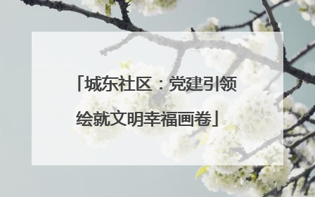 城东社区：党建引领绘就文明幸福画卷