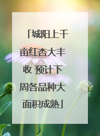 城阳上千亩红杏大丰收 预计下周各品种大面积成熟