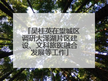 吴桂英在望城区调研大泽湖片区建设、文科旅医融合发展等工作