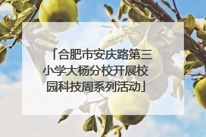 合肥市安庆路第三小学大杨分校开展校园科技周系列活动