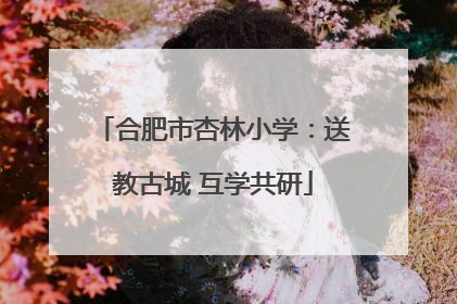 合肥市杏林小学：送教古城 互学共研