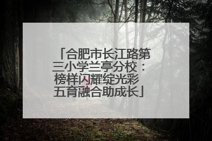 合肥市长江路第三小学兰亭分校：榜样闪耀绽光彩 五育融合助成长
