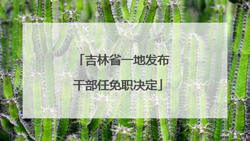 吉林省一地发布干部任免职决定