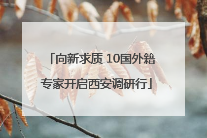 向新求质 10国外籍专家开启西安调研行