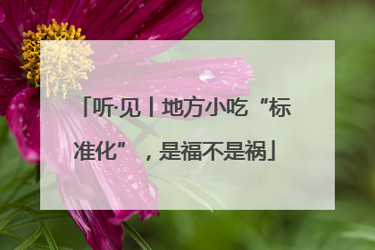 听·见丨地方小吃“标准化”，是福不是祸