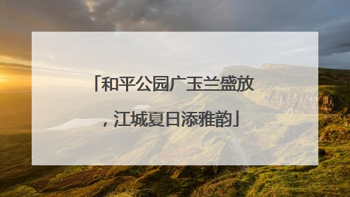 和平公园广玉兰盛放，江城夏日添雅韵
