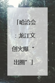 哈洽会：龙江文创火爆“出圈”