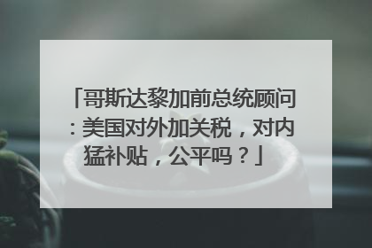 哥斯达黎加前总统顾问：美国对外加关税，对内猛补贴，公平吗？