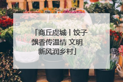 商丘虞城丨饺子飘香传温情 文明新风润乡村