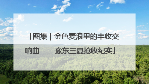 图集｜金色麦浪里的丰收交响曲——豫东三夏抢收纪实