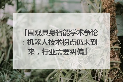 围观具身智能学术争论：机器人技术拐点仍未到来，行业需要纠偏