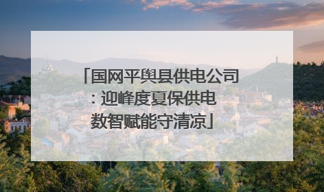 国网平舆县供电公司：迎峰度夏保供电  数智赋能守清凉