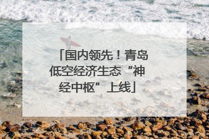 国内领先！青岛低空经济生态“神经中枢”上线
