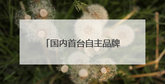 国内首台自主品牌氢内燃机发电机组在湖北投入运营