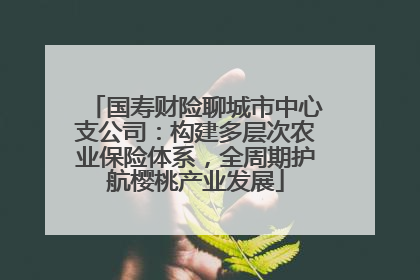 国寿财险聊城市中心支公司：构建多层次农业保险体系，全周期护航樱桃产业发展