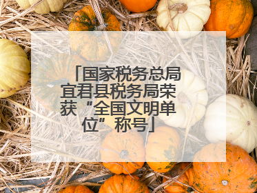 国家税务总局宜君县税务局荣获“全国文明单位”称号
