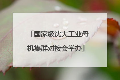 国家级沈大工业母机集群对接会举办