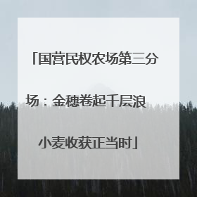国营民权农场第三分场：金穗卷起千层浪 小麦收获正当时
