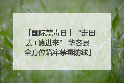 国际禁毒日丨“走出去+请进来” 华容县全方位筑牢禁毒防线