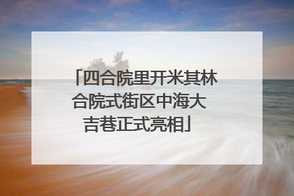 四合院里开米其林 合院式街区中海大吉巷正式亮相