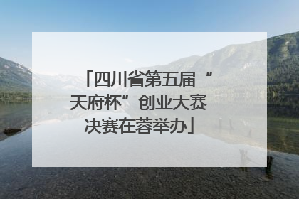 四川省第五届“天府杯”创业大赛决赛在蓉举办