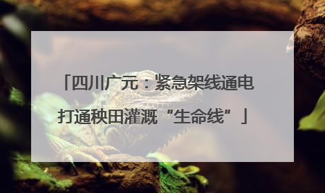 四川广元：紧急架线通电 打通秧田灌溉“生命线”