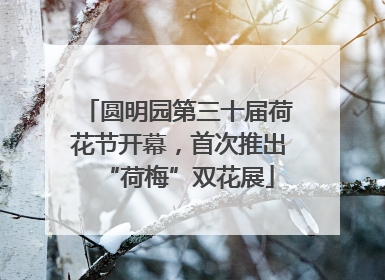 圆明园第三十届荷花节开幕，首次推出“荷梅”双花展