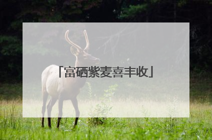 富硒紫麦喜丰收