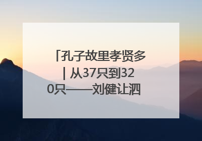 孔子故里孝贤多｜从37只到320只——刘健让泗水裘皮羊重生