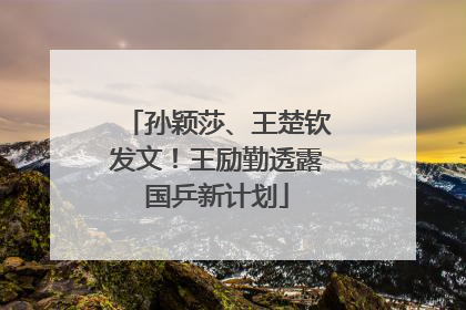 孙颖莎、王楚钦发文！王励勤透露国乒新计划