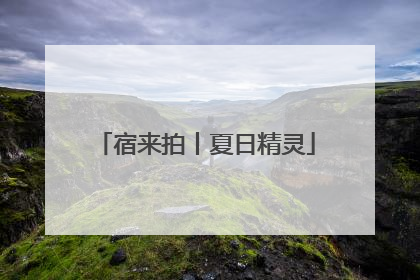 宿来拍丨夏日精灵