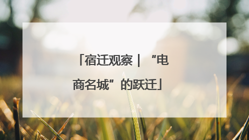 宿迁观察｜“电商名城”的跃迁