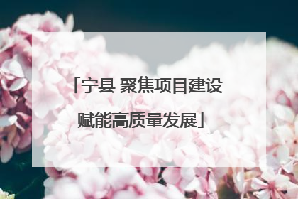 宁县 聚焦项目建设 赋能高质量发展