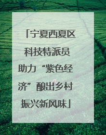 宁夏西夏区 科技特派员助力“紫色经济”酿出乡村振兴新风味