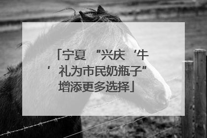 宁夏 “兴庆‘牛’礼为市民奶瓶子”增添更多选择