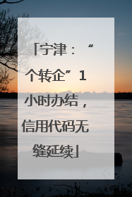 宁津：“个转企”1小时办结，信用代码无缝延续